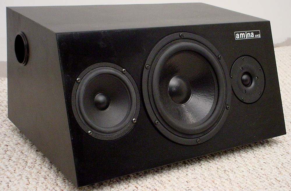 AMINA CN3 speaker.